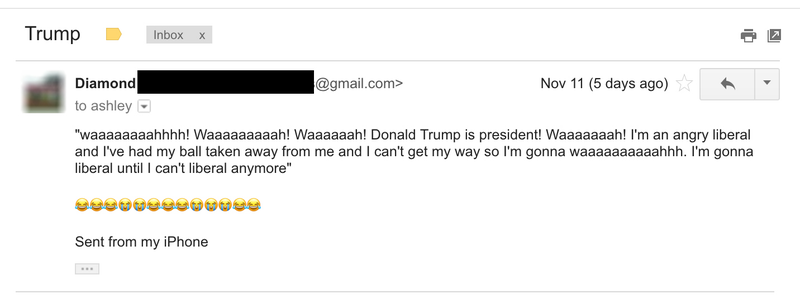 Illustration for article titled “You Shitti Farty Dirty Nasty JUDE Bitch!”: Trump Voters Send Their Best